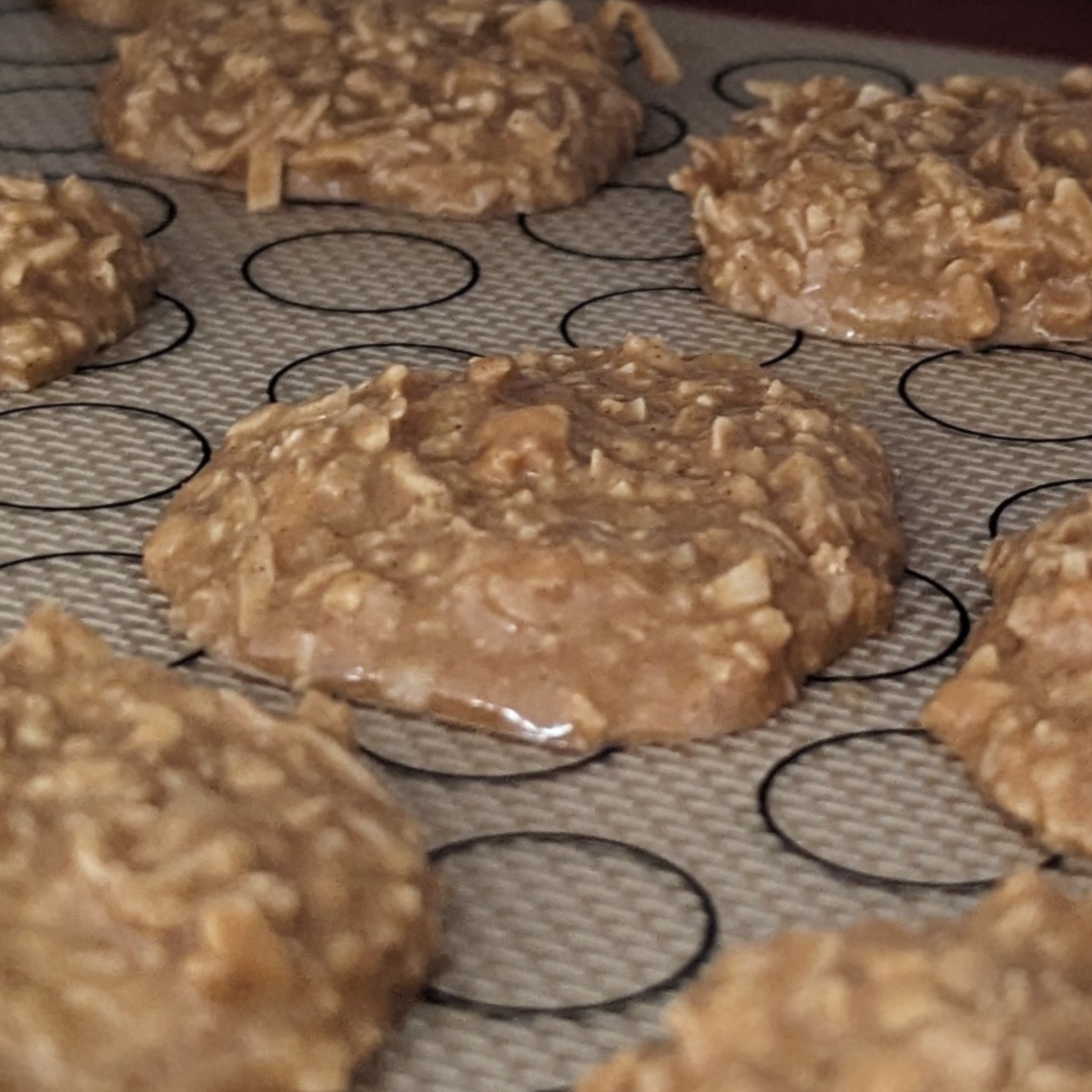 Keto no bake peanut butter coconut cookies